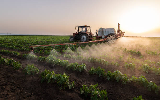 Best Ant Control Services  in Ranchettes, WY