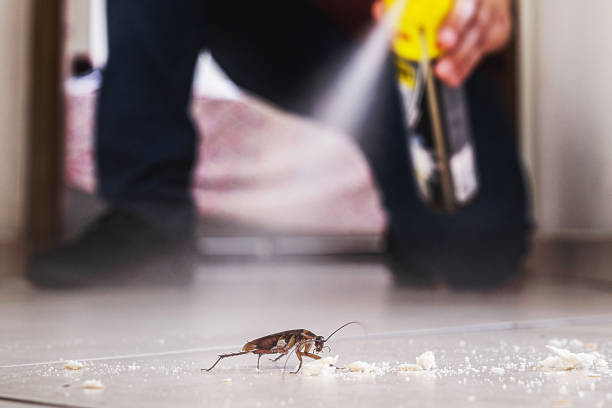Best Exterminator Services  in Ranchettes, WY